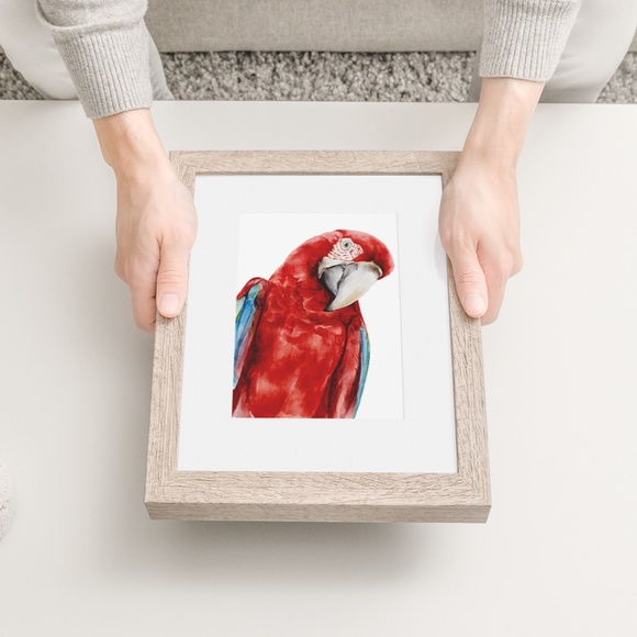 Red Macaw Parrot Watercolor Wall Art Print Poster Unframed - Picture 5 of 9